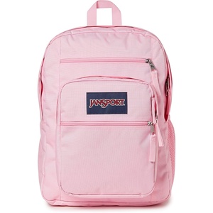 JanSport Laptop Backpack – Computer Bag with 2 Compartments, Ergonomic Shoulder Straps, 15” Laptop Sleeve, Haul Handle – Fluttering Fields(Bubble Gum)