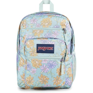 JanSport Laptop Backpack – Computer Bag with 2 Compartments, Ergonomic Shoulder Straps, 15” Laptop Sleeve, Haul Handle – Fluttering Fields(Faded Floral Fresh Mint)