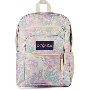 JanSport Laptop Backpack – Computer Bag with 2 Compartments, Ergonomic Shoulder Straps, 15” Laptop Sleeve, Haul Handle – Fluttering Fields(Faded Tapestry)