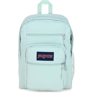 JanSport Laptop Backpack – Computer Bag with 2 Compartments, Ergonomic Shoulder Straps, 15” Laptop Sleeve, Haul Handle – Fluttering Fields(Fresh Mint)