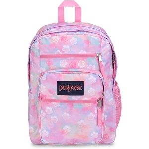 JanSport Laptop Backpack – Computer Bag with 2 Compartments, Ergonomic Shoulder Straps, 15” Laptop Sleeve, Haul Handle – Fluttering Fields(Neon Daisy)