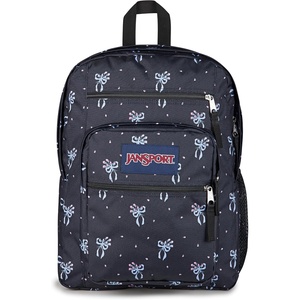 JanSport Laptop Backpack – Computer Bag with 2 Compartments, Ergonomic Shoulder Straps, 15” Laptop Sleeve, Haul Handle – Fluttering Fields(Pastel Petals)