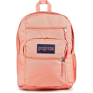JanSport Laptop Backpack – Computer Bag with 2 Compartments, Ergonomic Shoulder Straps, 15” Laptop Sleeve, Haul Handle – Fluttering Fields(Peach Bum)