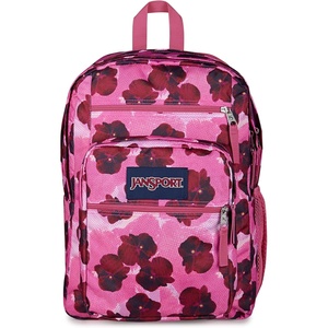 JanSport Laptop Backpack – Computer Bag with 2 Compartments, Ergonomic Shoulder Straps, 15” Laptop Sleeve, Haul Handle – Fluttering Fields(Pop Art Pansies)