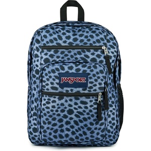 JanSport Laptop Backpack – Computer Bag with 2 Compartments, Ergonomic Shoulder Straps, 15” Laptop Sleeve, Haul Handle – Fluttering Fields(Surreal Spots)