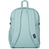 JanSport Main Campus FX Backpack – Travel or Work Bag w 15-Inch Laptop Pack with Leather Trim, Lavender Ash(Faded Sage)