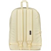 JanSport Superbreak Plus FX Backpack – Work, Travel, or Laptop Bag with Water Bottle Pocket – Oil Slick Black(Slow N Steady Emb Lemon Ice/Blue/Pink)