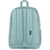 JanSport Superbreak Plus FX Backpack – Work, Travel, or Laptop Bag with Water Bottle Pocket – Oil Slick Black(Surreal Corduroy Sage)