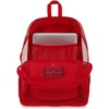 JanSport Eco Mesh Backpack, Red Tape, 17” x 12.5” x 6” – Large Semi-Transparent Bag for Adults with Laptop Sleeve, Padded Back Panel, Red Tape(Red Tape)