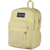 JanSport Right Pack Backpack – Durable Daypack with Padded 15″ Laptop Sleeve, Spacious Main Compartment & Integrated Water Bottle Pocket, Graffitied(Lemon Ice)