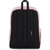 JanSport Superbreak Backpack – Durable, Lightweight Premium Backpack, Bit Bouquet Green​(Misty Rose)