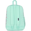 JanSport 26L Cross Town Plus Backpack, Flutter By Grey(Apple Orchard Magic Mint/Pink/Red)