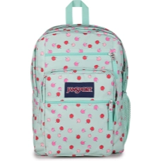 JANSPORT College Backpack and LaptopReady
