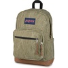 JanSport Right Pack Expressions Backpack – Main Compartment, 15-inch Padded Laptop Compartment, Side Water Bottle Pocket, Utility Pocket with Zippered Rain Flap, Denim Wash Blue(Aged Canvas Green/Lt Green/Brown)