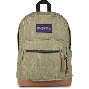 JanSport Right Pack Expressions Backpack – Main Compartment, 15-inch Padded Laptop Compartment, Side Water Bottle Pocket, Utility Pocket with Zippered Rain Flap, Denim Wash Blue(Aged Canvas Green/Lt Green/Brown)