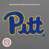 JanSport NCAA Officially Licensed Backpack, Michigan Wolverines, Superbreak Plus with Padded 15” Laptop Sleeve, Spacious Computer Bag for Men & Women, Durable Daypack with Bottle Pocket, Navy(Pittsburgh Panthers)