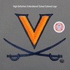 JanSport NCAA Officially Licensed Backpack, Michigan Wolverines, Superbreak Plus with Padded 15” Laptop Sleeve, Spacious Computer Bag for Men & Women, Durable Daypack with Bottle Pocket, Navy(Virginia Cavaliers)